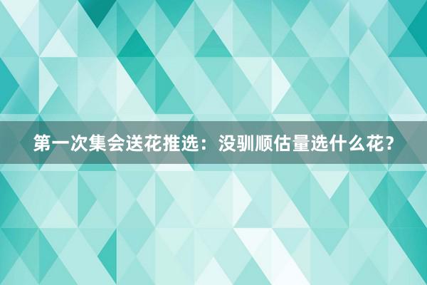 第一次集会送花推选：没驯顺估量选什么花？